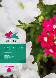 CATALOGO CORMA 1